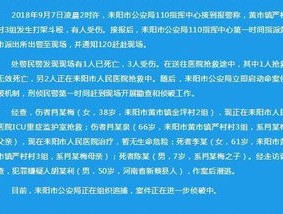 2024澳家婆一肖一特_精选解释落实将深度解析_实用版028.389