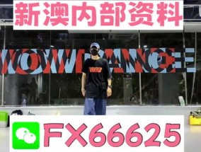 2024年新澳门今晚开奖结果2024年_结论释义解释落实_主页版v479.064