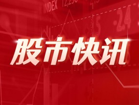 以旧换新销售突破1300亿，家电企业抢食国补鏖战双十一，近九成公司三季度盈利