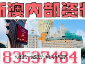 2024新澳门原料网站_详细解答解释落实_主页版v158.938