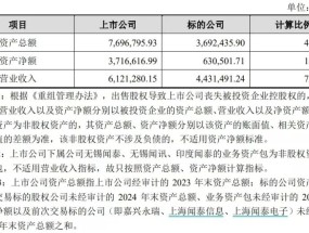 两大A股公司女掌门，推动了一桩总资产近370亿元的交易  立讯精密为何接盘？