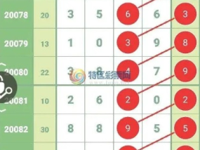 2024新奥历史开奖记录76期_作答解释落实的民间信仰_实用版573.466