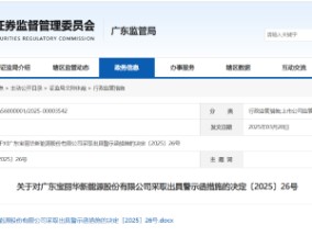 关联方资金交易违规！宝新能源被出具警示函