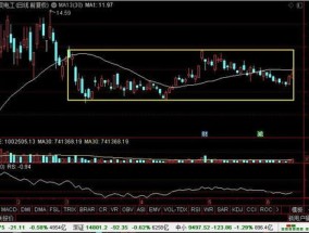 248期澳门特马_详细解答解释落实_V07.23.80