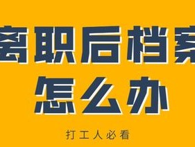 2024新浪正版免费资料_良心企业，值得支持_实用版880.246