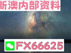 2024新澳天天彩免费资料_结论释义解释落实_iPhone版v19.45.49