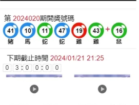 2024澳门天天开好彩大全开奖记录_最新答案解释落实_安卓版676.892