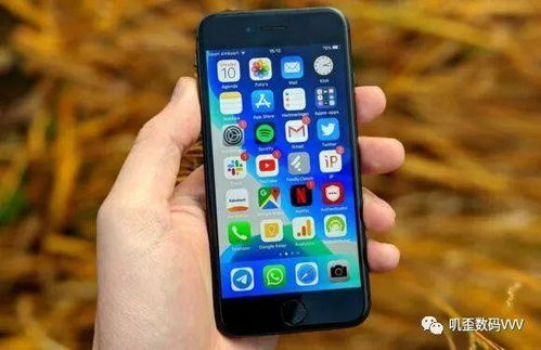 2024新奥今晚开什么号_良心企业，值得支持_iPhone版v40.63.62