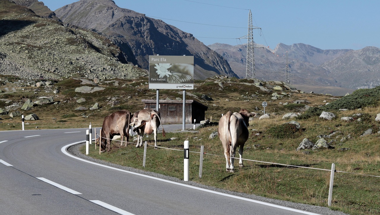 英国已度过疫情高峰，逐步走向复苏的道路